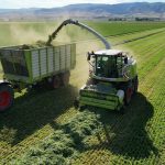 Сівалка зернова механічна СЗМ Ніка-6 Велес-Агро