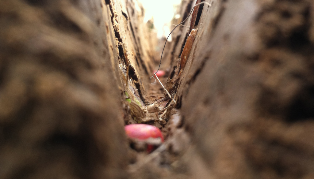Keeton Seed Firmer