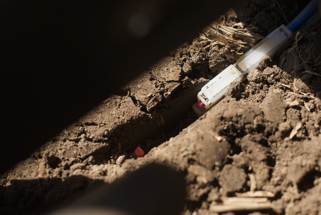 Keeton Seed Firmer
