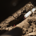 Keeton Seed Firmer